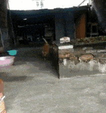 |搞笑GIF:妹子你这美我们真不懂,还以为是椎间盘突出呢