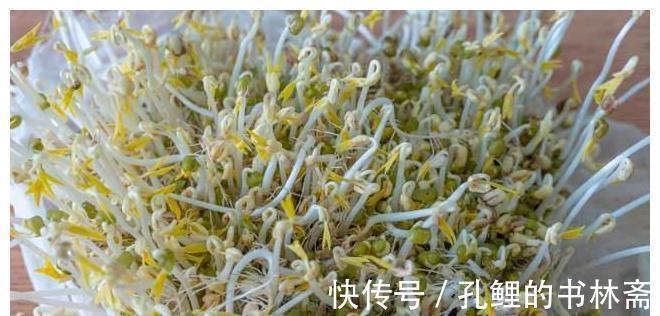 绿豆|在家发豆芽原来这么简单，又粗又嫩不会烂，做法超简单，4天开吃