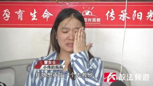 “我想用脐带血救他！” 母亲为救病儿，生三孩后再次备孕