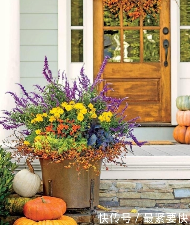 任何容器都能用来做花盆,请收好这30种美丽的花盆搭配设计