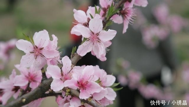 天堂是否也有“清明节”?