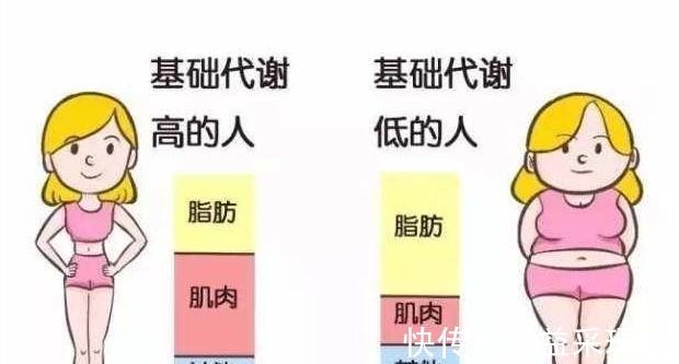 基础代谢|有则改之无则加勉,一些小错误,或许是少吃多动也不瘦的原因所在