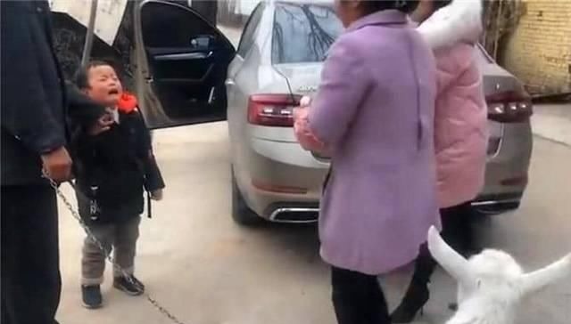 外甥|外甥来一趟家里,非要把羊给牵回家,舅舅无奈我有什么办法呢