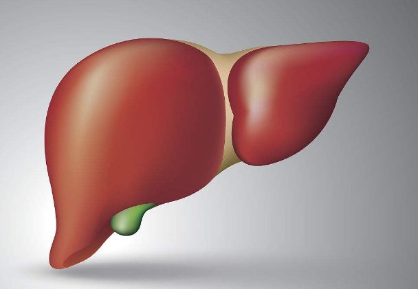 多喝|想养肝的人，建议：少碰“三物”，多喝“二水”