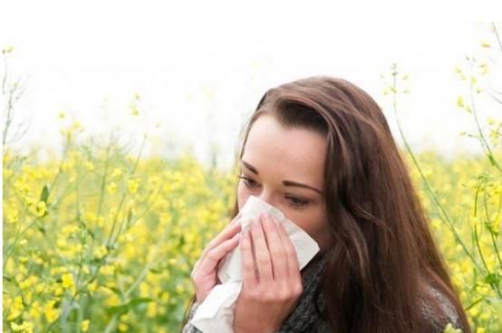 鼻涕|清代名医黄元御的神奇配方！简单8味药，补阳气，搞定过敏性鼻炎