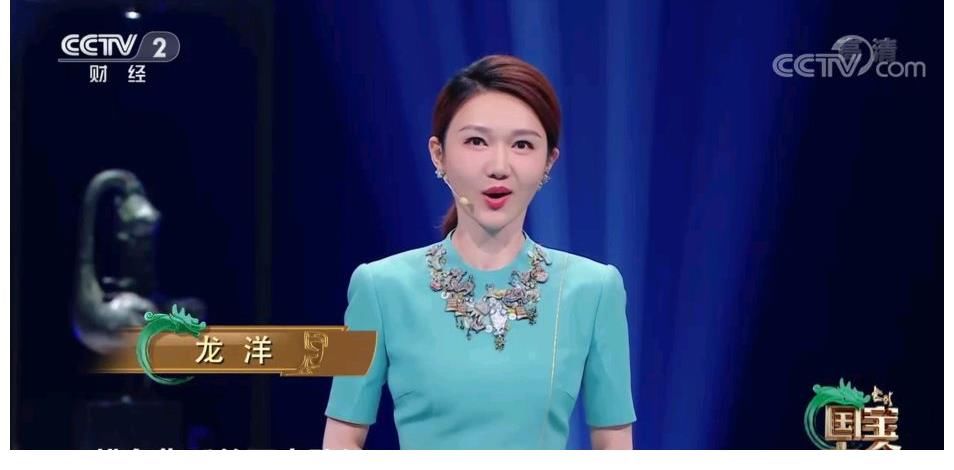 龙洋主持多场央视重大活动，与董卿同台亲和力不输，有接班人潜质