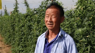 许昕|放下农具上球馆,这个老汉想和许昕来场对决!
