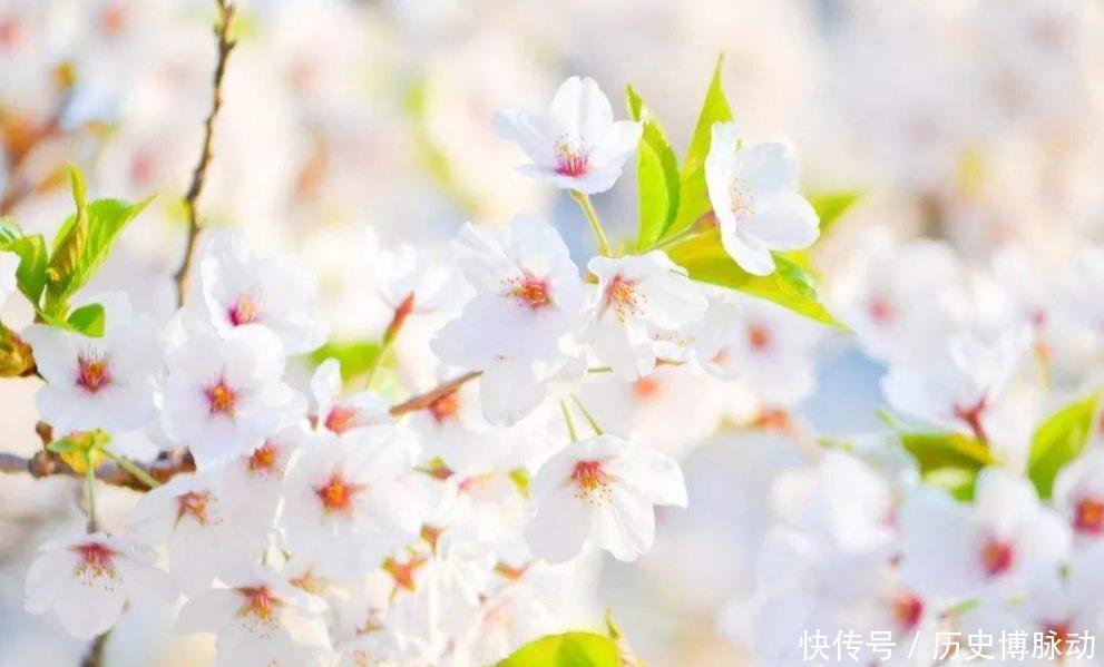 网红|温庭筠写了首肉麻情诗,被才女毫不客气地打脸,现成一首网红情诗