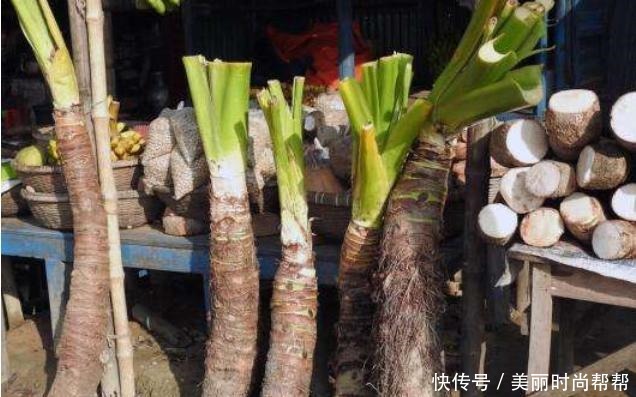 芋头|印度大妈处理变异的芋头,4根还不够吃一顿,谁手快谁就吃得多!