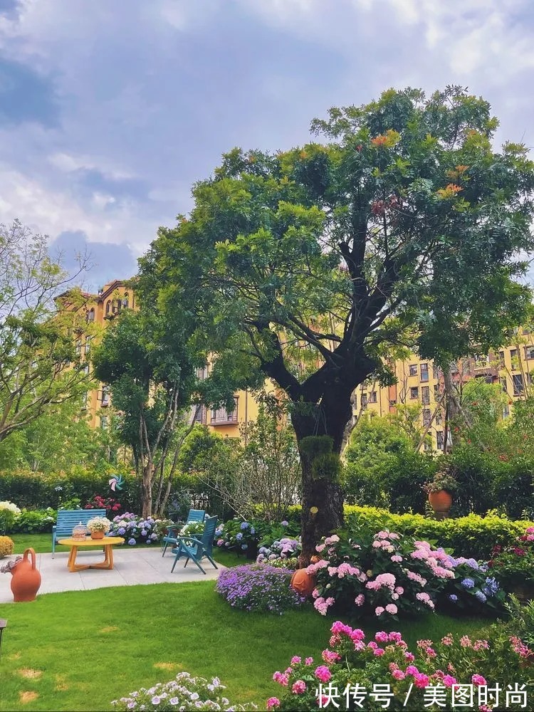 下午茶|一楼430㎡大院子，用1年半建成花园，网友：你这是建了个公园吧？