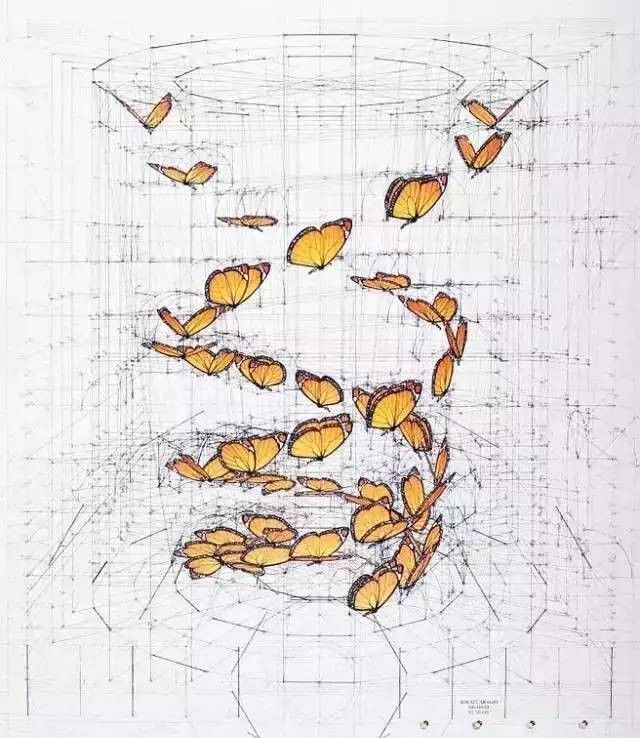 黄金比例!理工男花40年时间,用圆规画1000张画,黄金比例的拥护者