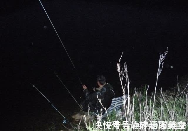 我一个酷爱夜钓的人,总能找到低温风浪环境下的夜钓鲫鱼法……