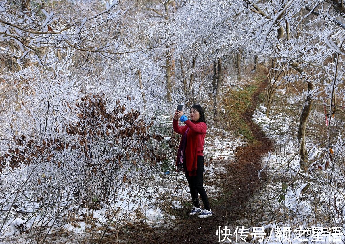 雪景|大雪、暴雪，宁波六处赏雪地，雪景很美安全第一