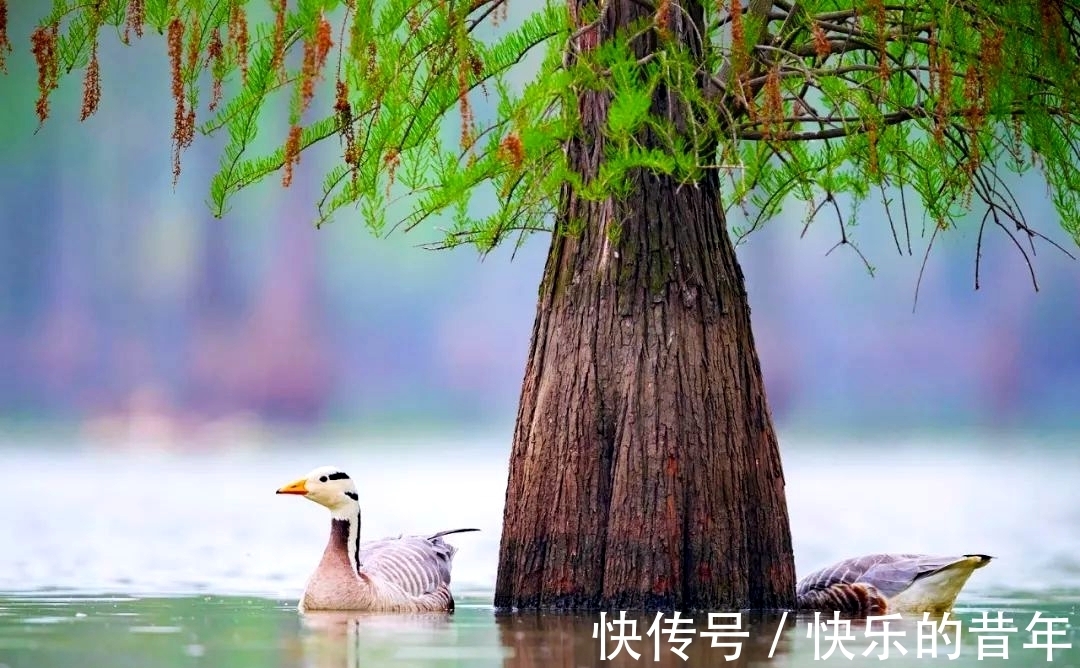 聪明的人&庄子：有一种智慧，叫“界限感”