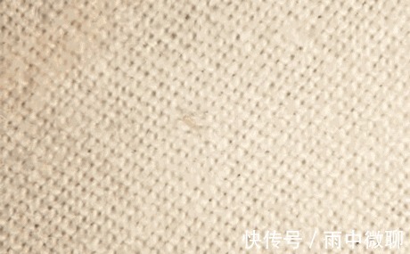 超声波|床上螨虫超级多生物专家不是风油精,不到一毛钱,螨虫死光光