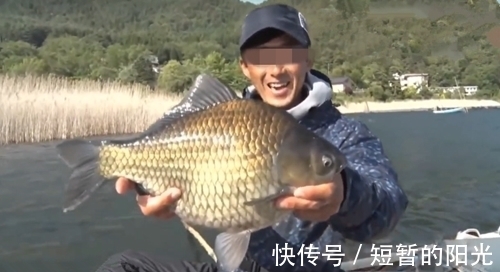 钓鱼|野外大河幸运钓获大鲫鱼,一般人很少遇到这么大的鲫鱼