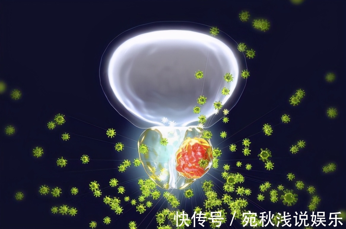 前列腺|男人的荷尔蒙公布,比洋葱强,敞开吃,前列腺一天天变好