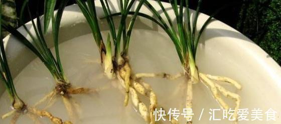 兰花怎么养，做好这些，开花多又香