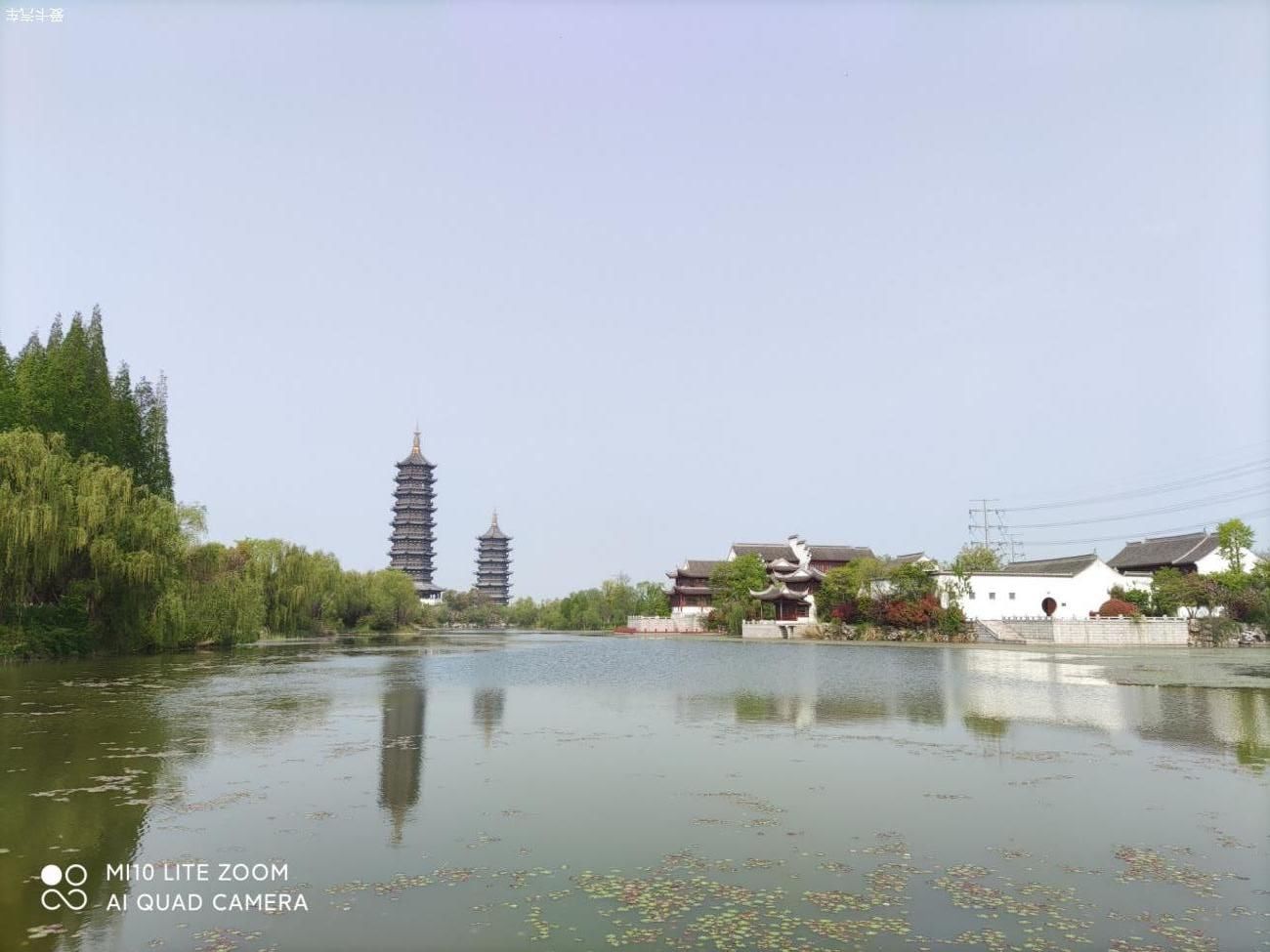 春季游览印象黄河景区