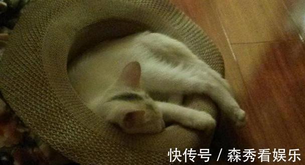 黄菡|参观黄菡老师现实中的家,家具全是复古款式,连碗碟也要用青花瓷