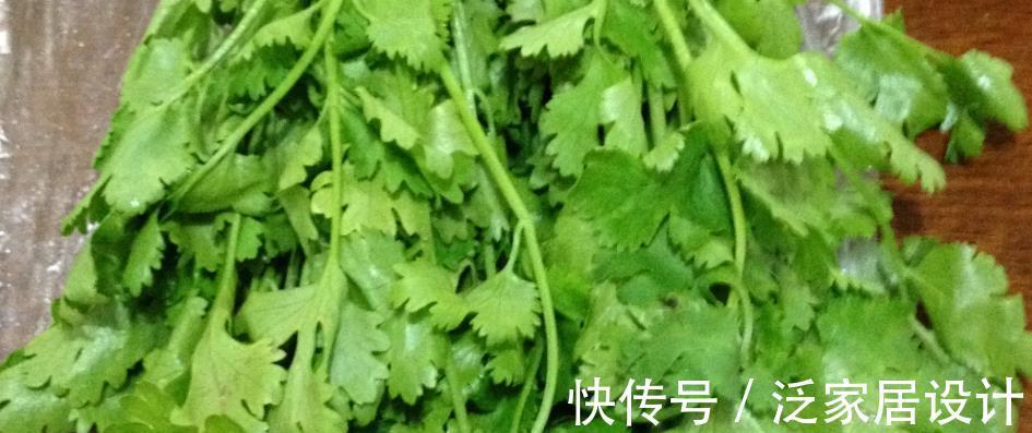 甲之蜜糖|香菜好吃难保存,菜农教你几招,比直接放冰箱还管用