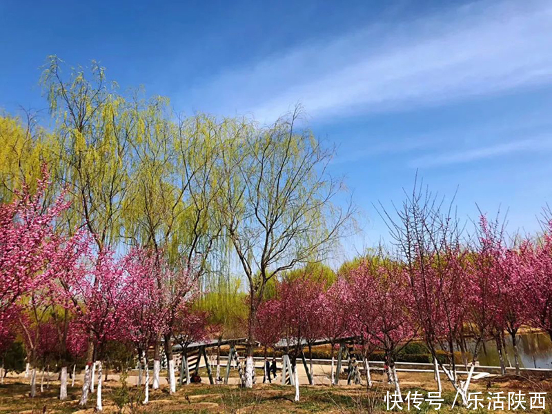 中年|百花争春时节，在西安，这些浪漫的事情一安排 ，想怎么嗨都行