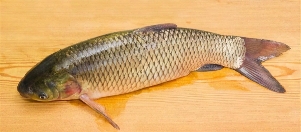 油炸|做鱼时，去腥加料酒和醋都大错特错，大厨教你正确做法，上桌扫光