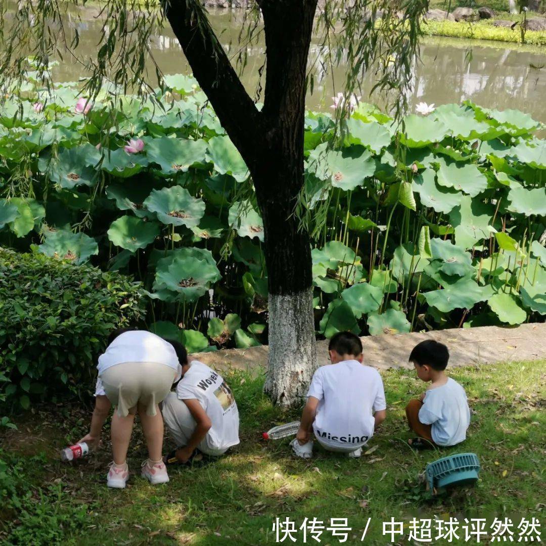 塘河|【云溪山人游记】?瓯海荷塘月色公园