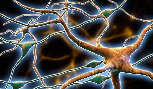 失眠多是大脑神经问题!医生提醒:尝试6个方法,让你一觉到天明