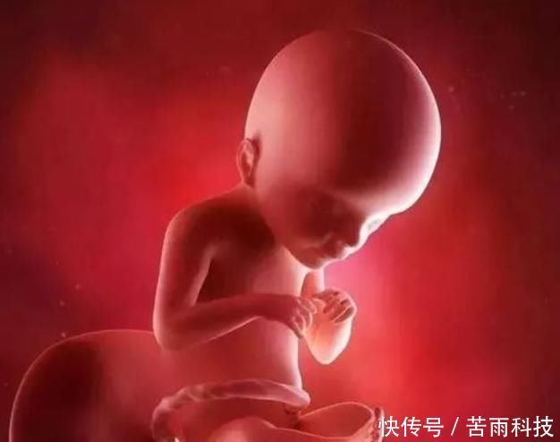 胎儿|孕妈睡觉时,胎儿在干嘛?看到这个画面,小家伙真的太可爱了