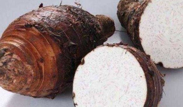 松柳菜松柳菜|女性不愿老太快,适合吃的食物,清热排毒,排毒清脂,好处多多!