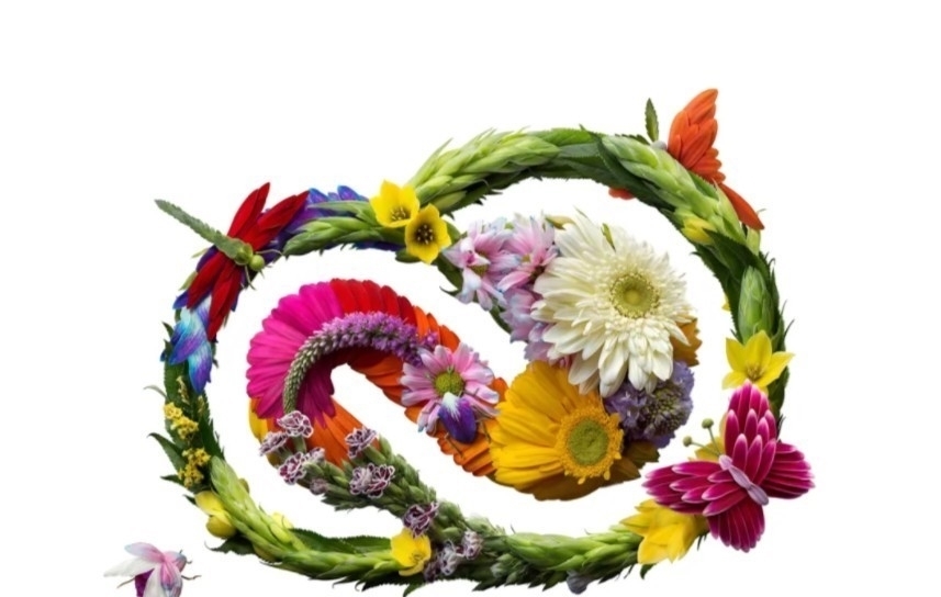 花卉&他拿花瓣、树叶随便一剪一贴就卖23万!网友:买过的人都说“值”