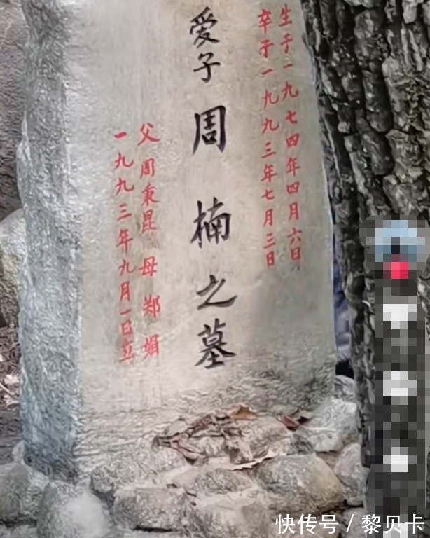 人世间&《人世间》从楠楠墓碑推测,至少有两处原著情节没有改