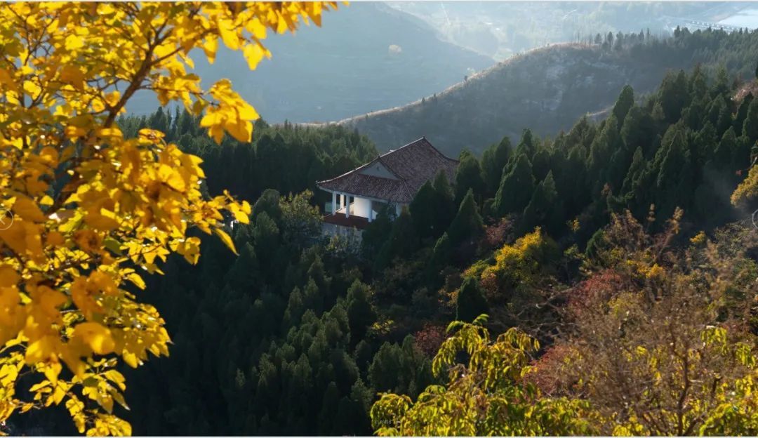 红叶|浓缩了秋日精华，独属于淄博的绚丽如画的山景！看一眼，惊艳一年