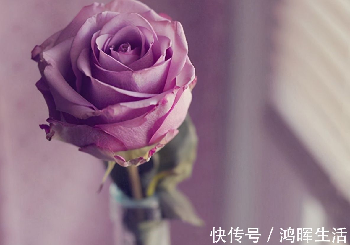 鬼谷子|王者皮一下之不懂就问,这抛出来的是核弹吗,伤害高到离谱!