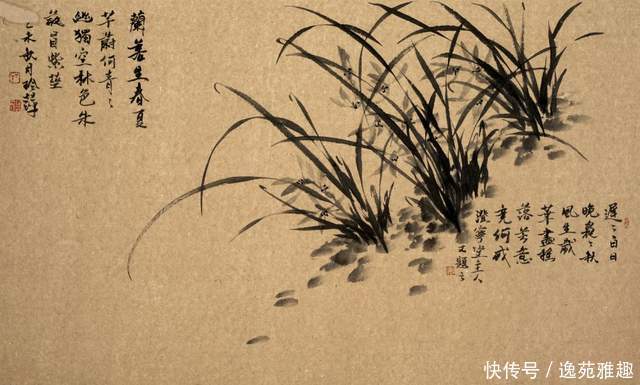 优雅|「作品欣赏」人若优雅,画作素淡清逸,画家丁玲萍作品欣赏