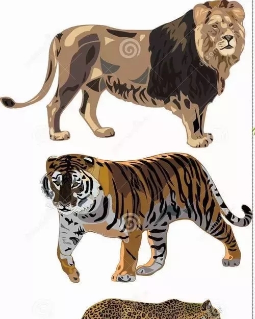 厉害|老虎和狮子谁厉害?东汉皇帝做了个实验