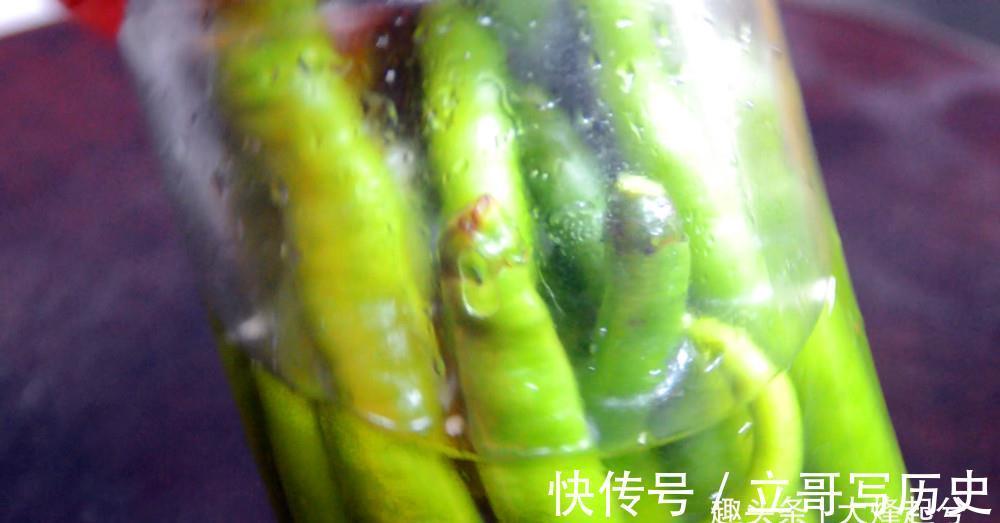 阳台上|一瓶啤酒倒入辣椒里,教你一招,酸辣可口,3天就能吃