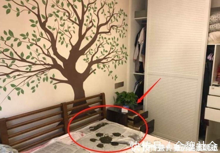 装修|新房刚装完直接开窗通风,差点把房子给毁了,都是无知惹的祸