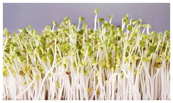 会吃的人更健康，推荐多吃四种食物，润肠通便，排掉体内毒素