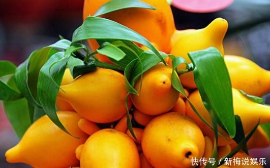 清热解毒|三伏天不容错过此野果,清热解毒,止咳消炎,治脚气,你认识吗