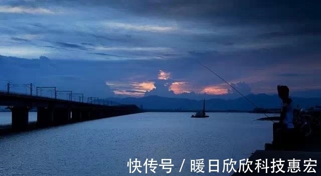 鱼儿|野钓想要连竿爆护,就必须弄明白这五个重要因素,才能鱼获满满