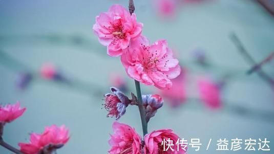 清明&宋词之前最美的一首《蝶恋花》,意境美,韵味足,是词坛千古名篇