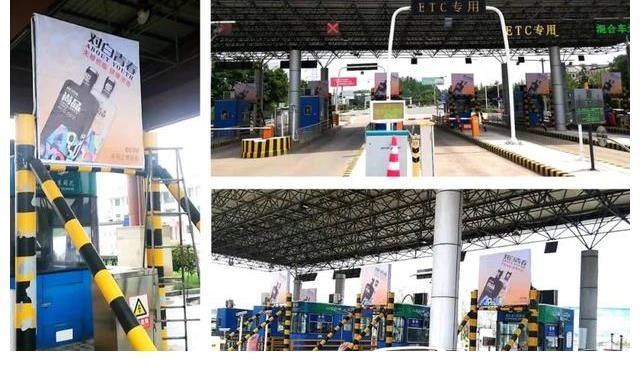 cctv|披荊斬棘，一路向前