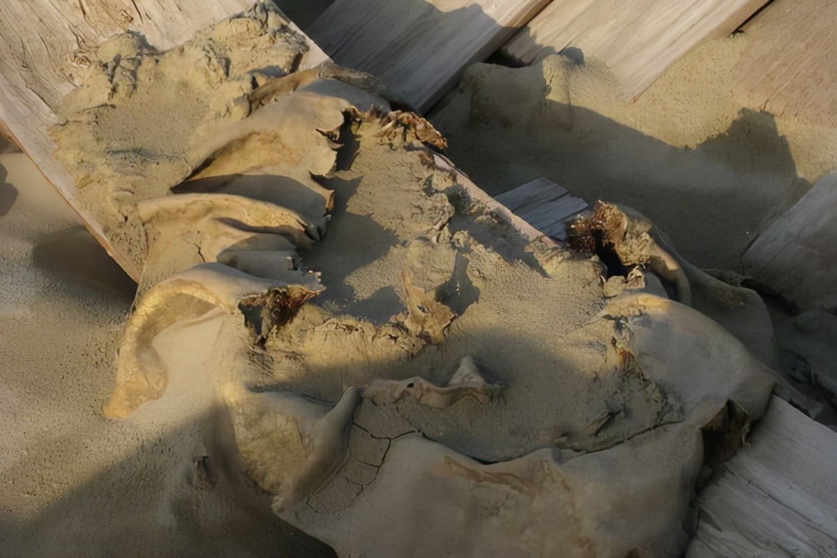 牛皮#三千年前罗布泊没有密闭技术,为何棺木出土,里面一颗沙子都没有