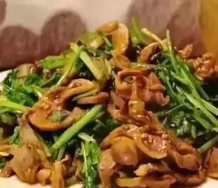 30余道佳肴推荐，鲜香可口营养下饭简单实惠，我们一起学做菜