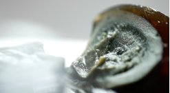 陈凤娟|一边直播一边唱歌 60老汉一年卖鸭蛋上亿元