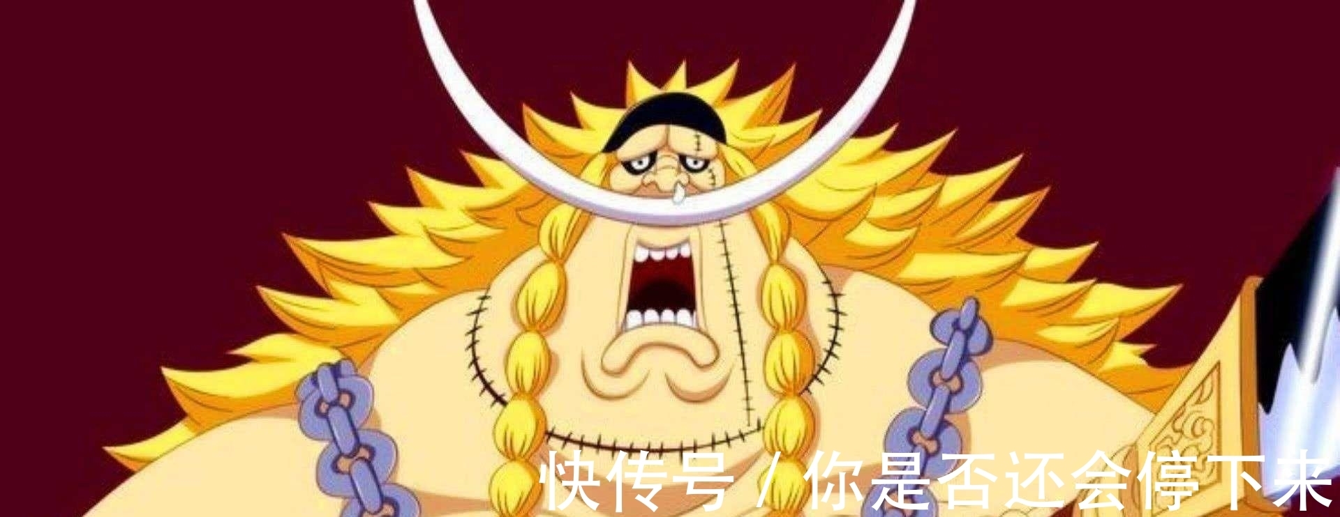 哲普|海贼王中那些造型独特的胡子，3种像茂盛的鼻毛，3种反引力上翘