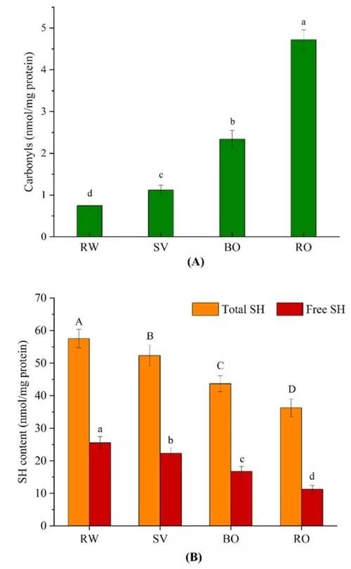  顶刊|煮牛肉登上一区顶刊！科学家教你如何正确煮牛肉