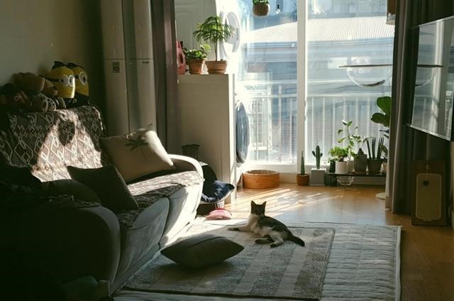 脚臭|90后姑娘晒出新房:66㎡像入住了10年,一开门网友评:满屏脚臭